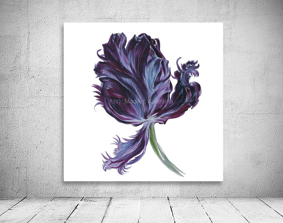 tulip302 Wall Preview