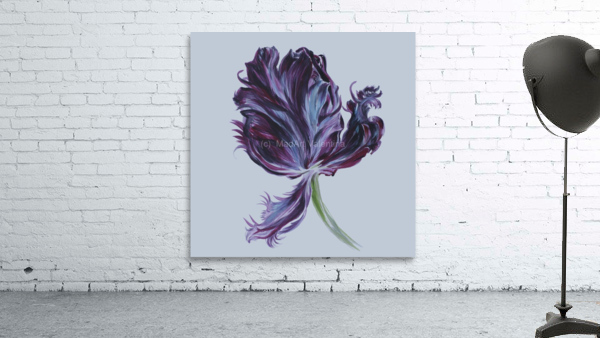 tulip310 Wall Preview