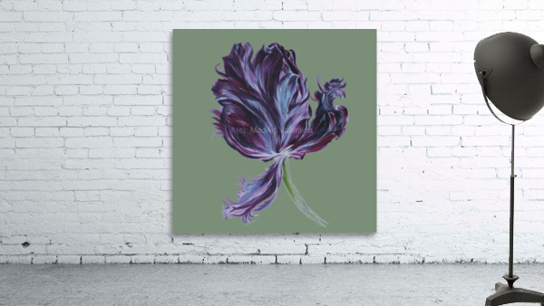 tulip306 Wall Preview