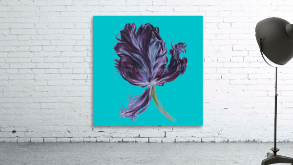 tulip312 Wall Preview