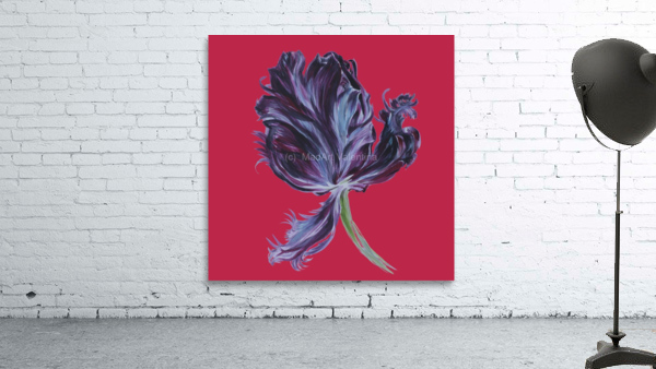 tulip303 Wall Preview