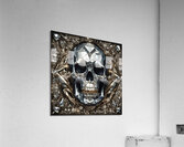 Skull Art Acrylic Print