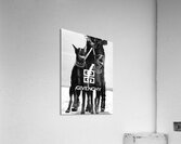 Givenchy Paris Doberman Acrylic Print