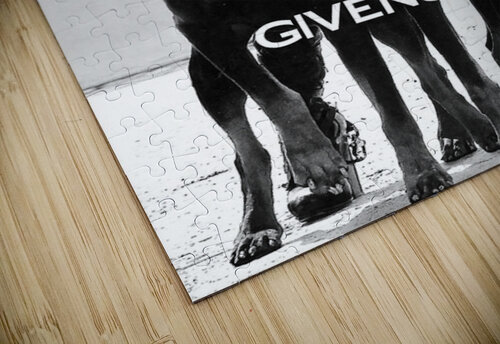 Givenchy Paris Doberman Canvas Hollywood puzzle