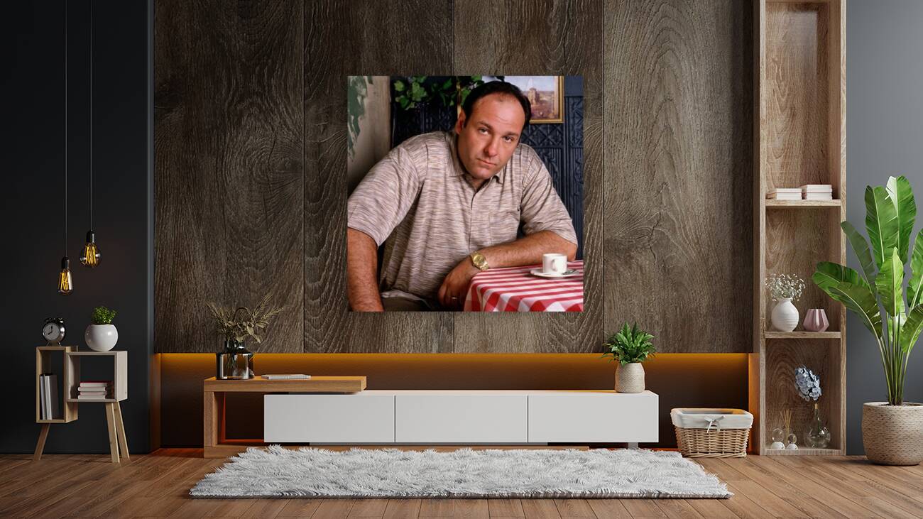 Tony Soprano Reproduction