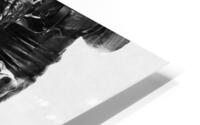 Givenchy Paris Doberman HD Metal print