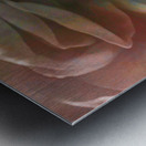 Flower Dance - Abstract Art Metal print