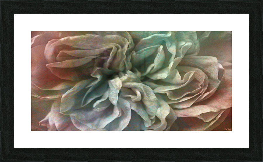 Flower Dance - Abstract Art Picture Frame print