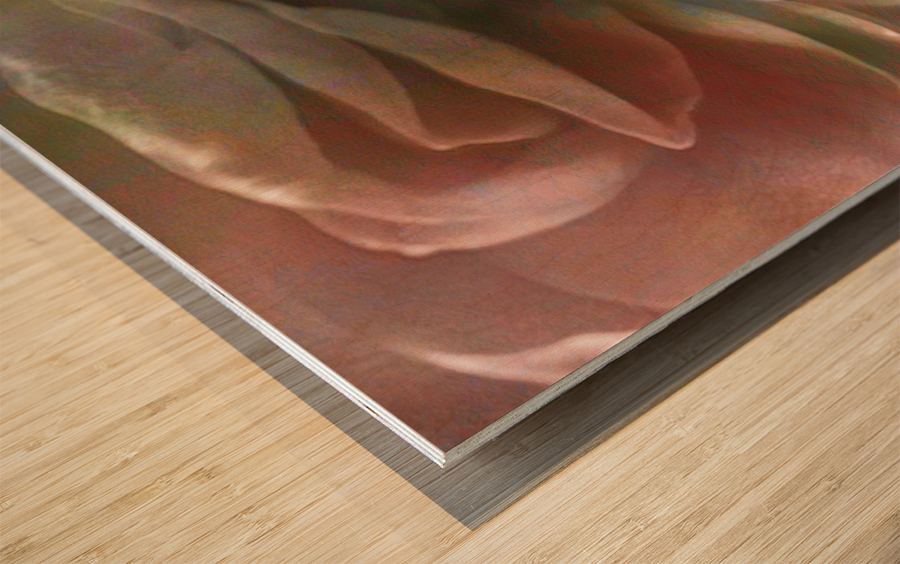 Flower Dance - Abstract Art Wood print
