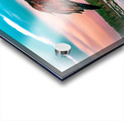 Care a Lot Osprey Acrylic print