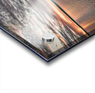 Best Ford DXO Edit Acrylic print