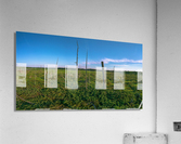 Levasseur Dead Trees 1 Acrylic Print