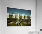 wheres lunch Acrylic Print