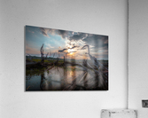 Swamp Dragon Acrylic Print