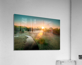 foggy carp 2 Acrylic Print