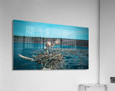 branch bringer Acrylic Print