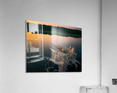 Egg Ma Acrylic Print