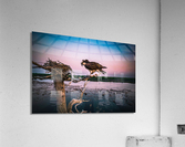 Pellet Casting Mother Acrylic Print