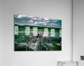 bright bird 0745 Acrylic Print