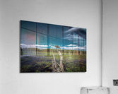 intense bird 0052 Acrylic Print