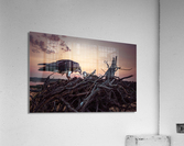 Osprey Sun Fire Acrylic Print