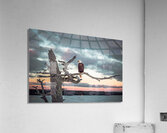Eagle in Osprey Tree Revised Acrylic Print