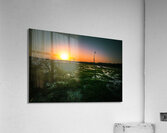 Oberon Pops Acrylic Print