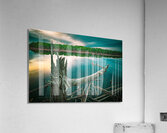 Our Friend Kestrel O.E. Acrylic Print