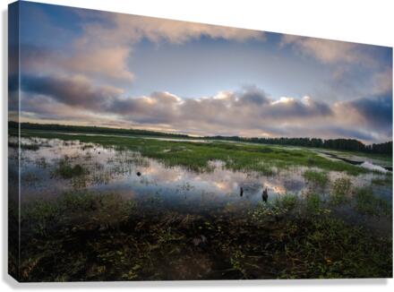 levasseur fluffy cloud reflect 1 Canvas Print