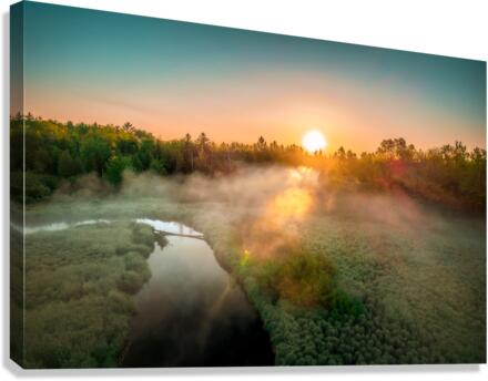 foggy carp 2 Canvas Print