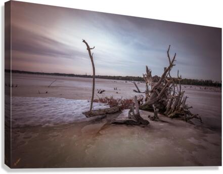 LeVasseur Wood 23 Canvas Print
