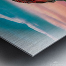 Care a Lot Osprey Metal print