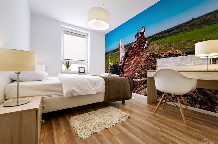 Over SHoulder Fledge 2 Mural print