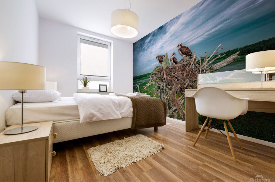 Grit Bird Revised Mural print