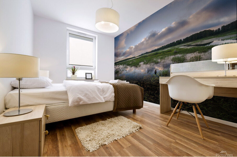 levasseur fluffy cloud reflect 1 Mural print