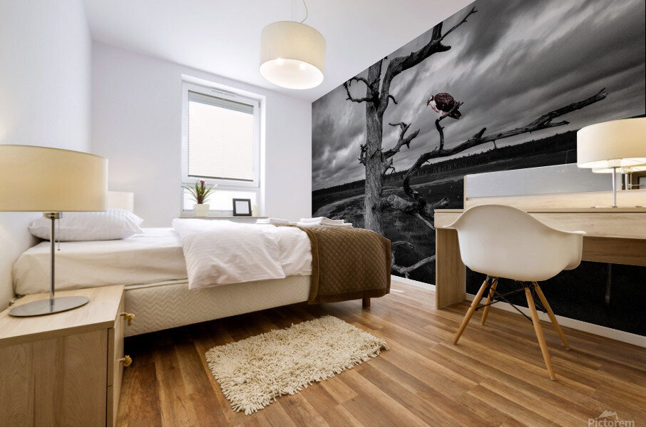 red bird 0251 Mural print