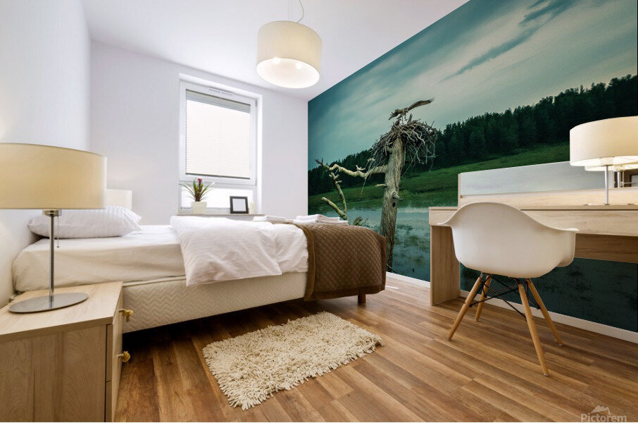 test flight 0246 Mural print