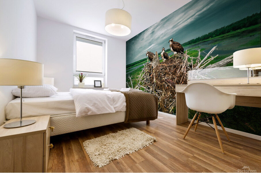 Bird Fam Premium 2 Mural print