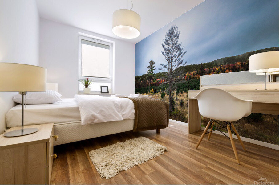 Another Mulligan tree Mural print