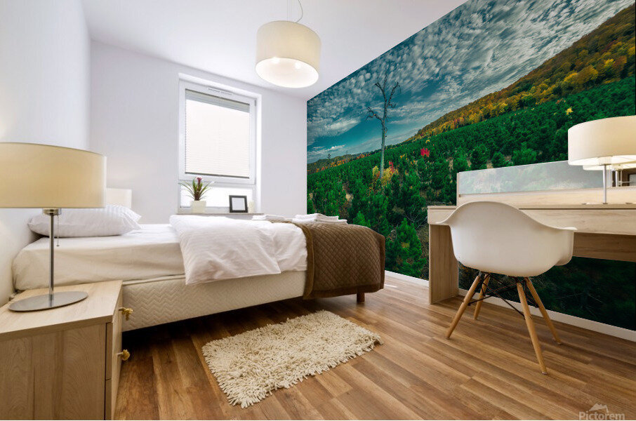 Mulligan Tree Mural print