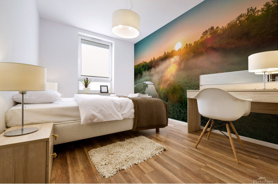 foggy carp 2 Mural print