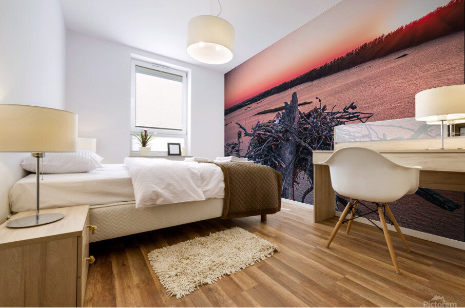 Twinkle Eye Mural print