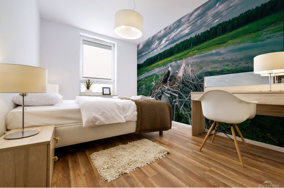 bright bird 0745 Mural print