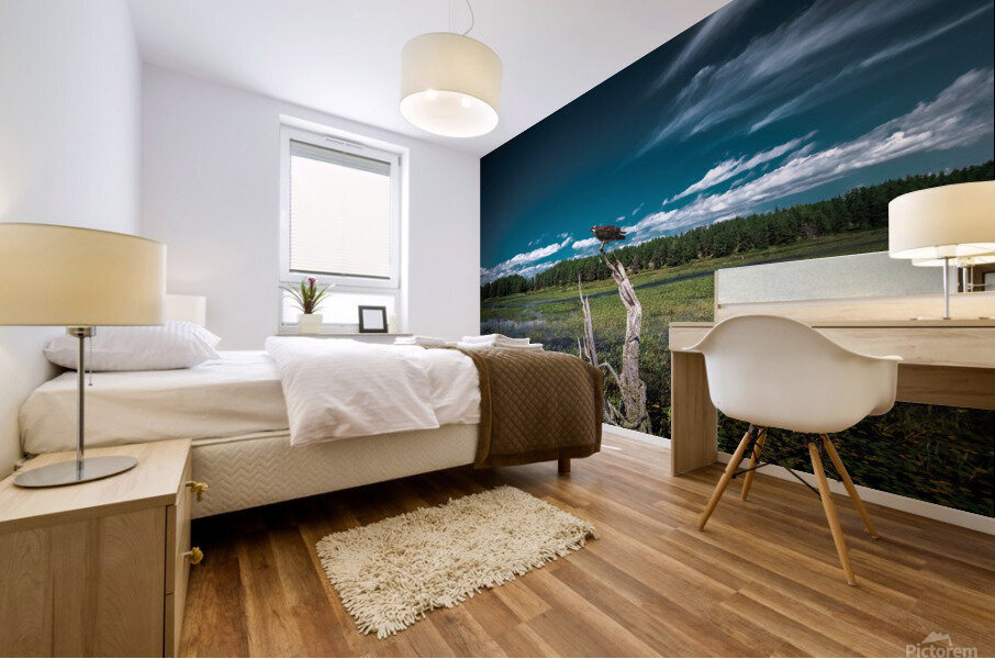 intense bird 0052 Mural print