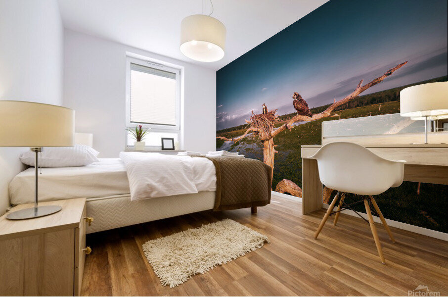 clean bird 0501 Mural print