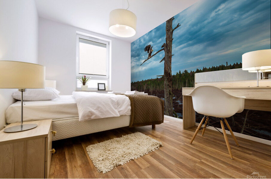 JUvy eagl Mural print