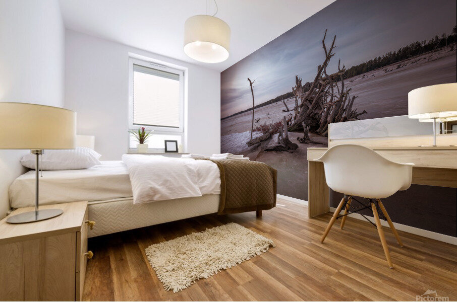 LeVasseur Wood 23 Mural print