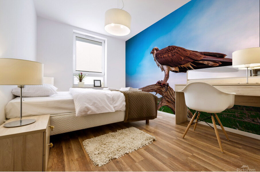 pops Oblique Mural print