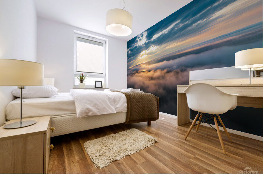 Fog Rolls LeVasseur Mural print