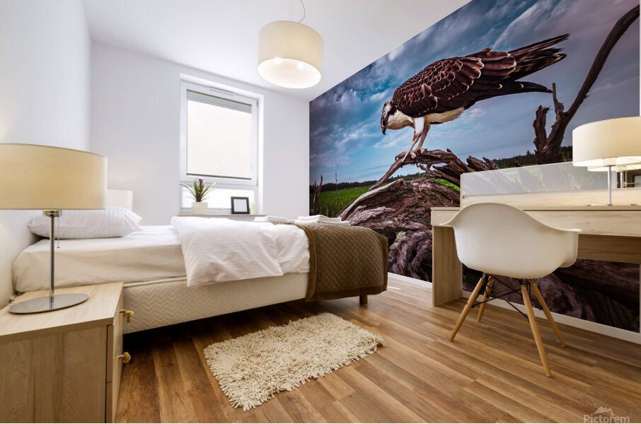 Drift Bird Mural print